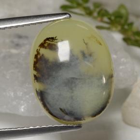 Opala musgosa amarelo natural 6,23ct, corte oval, translúcido