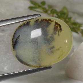Opala musgosa amarelo natural 6,23ct, corte oval, translúcido