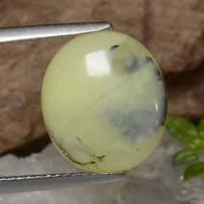 Opala Musgosa dendrito amarelo Natural 3,18ct, Corte Oval, Translúcido