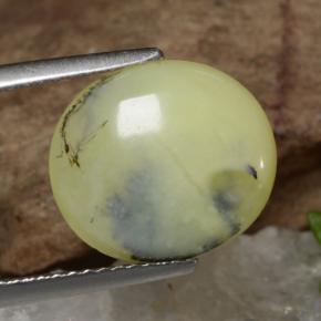 Opala Musgosa dendrito amarelo Natural 3,18ct, Corte Oval, Translúcido