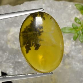 Opala musgo dendrito amarelo Natural 6.54ct, Corte Oval, Translúcido