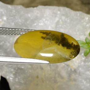 Opala musgo dendrito amarelo Natural 6.54ct, Corte Oval, Translúcido