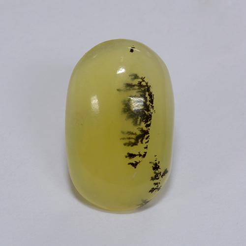 Opala musgosa dendrita amarela natural 3,98ct, corte oval, translúcido