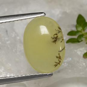 Opala musgo dendrito amarelo Natural 2.39ct, Corte Oval, Translúcido