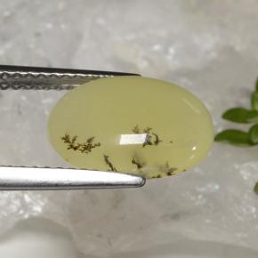 Opala musgo dendrito amarelo Natural 2.39ct, Corte Oval, Translúcido