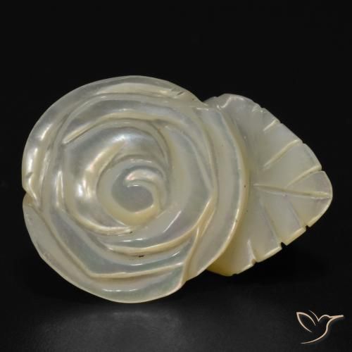 Madrepérola Pérola Branca Natural 17.50ct, Flor cortada, Opaco