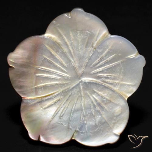 Madrepérola Branco Natural 24.27ct, Flor cortada, Opaco