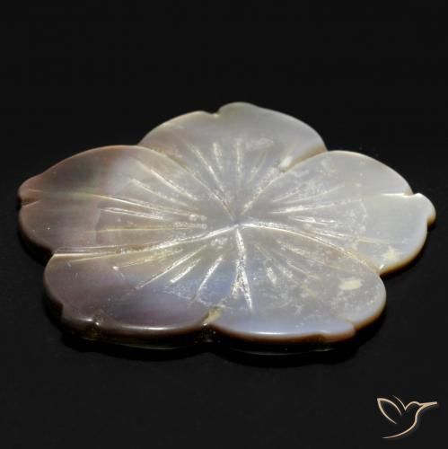 Madrepérola Branco Natural 24.27ct, Flor cortada, Opaco