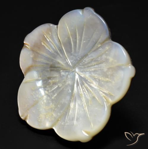 Madrepérola Branco Natural 29.23ct, Flor cortada, Opaco
