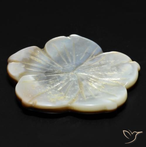 Madrepérola Branco Natural 29.23ct, Flor cortada, Opaco