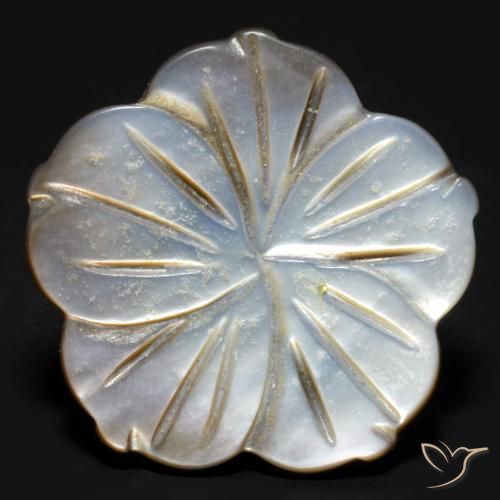 14.21ct Natural esfumaçado Madrepérola, Flor cortada, Opaco