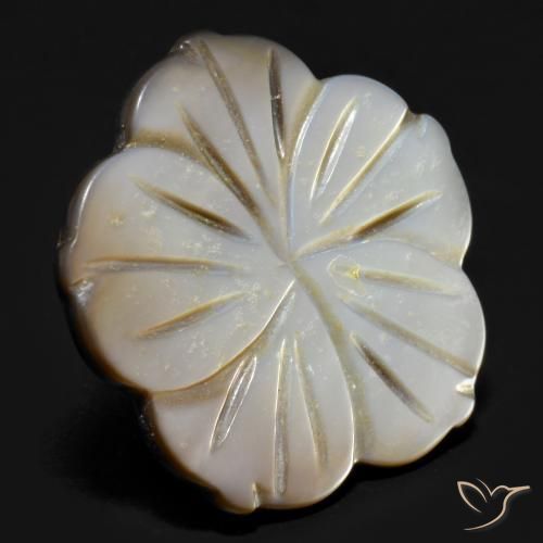 Madrepérola esfumaçado Natural 14.21ct, Flor cortada, Opaco