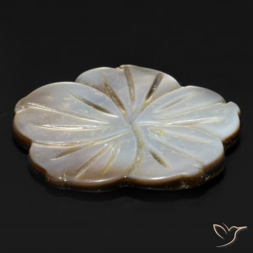 Madrepérola esfumaçado Natural 14.21ct, Flor cortada, Opaco
