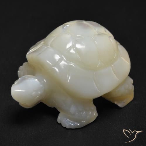 Madrepérola Pérola Branca Natural 20.94ct, Chique, Opaco