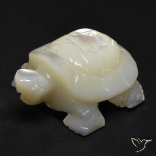 Madrepérola Pérola Branca Natural 18.53ct, Chique, Opaco