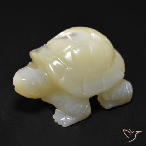 Madrepérola Pérola Branca Natural 22.57ct, Chique, Opaco