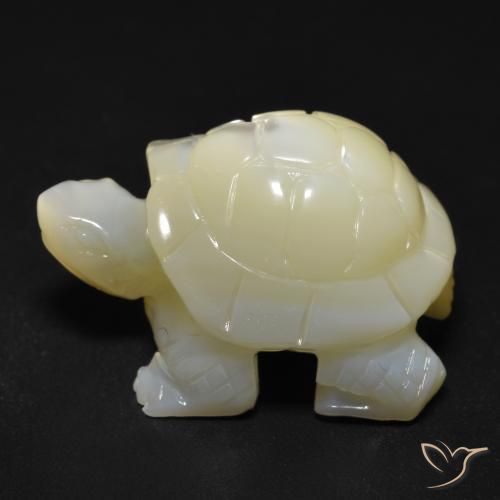 Madrepérola Pérola Branca Natural 22.57ct, Chique, Opaco