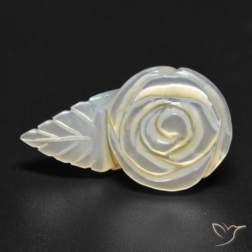 Madrepérola Pérola Branca Natural 15.05ct, Flor cortada, Opaco