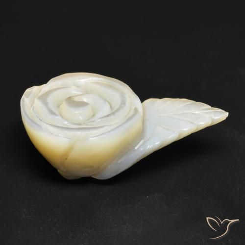 Madrepérola Pérola Branca Natural 15.05ct, Flor cortada, Opaco