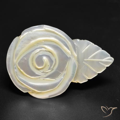 Madrepérola Pérola Branca Natural 18.01ct, Flor cortada, Opaco