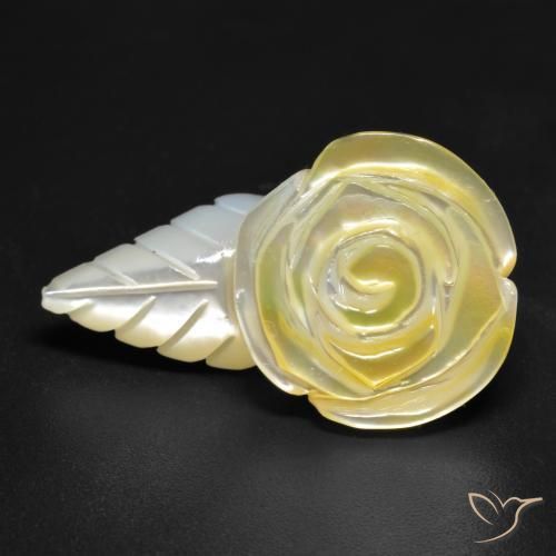 20.91ct Natural Luz amarela Madrepérola, Flor cortada, Opaco