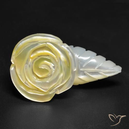 Madrepérola Luz amarela Natural 20.91ct, Flor cortada, Opaco
