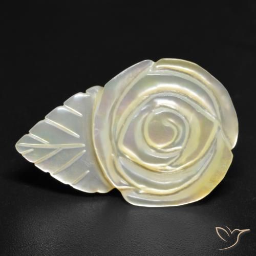 Madrepérola Pérola Branca Natural 16.46ct, Flor cortada, Opaco