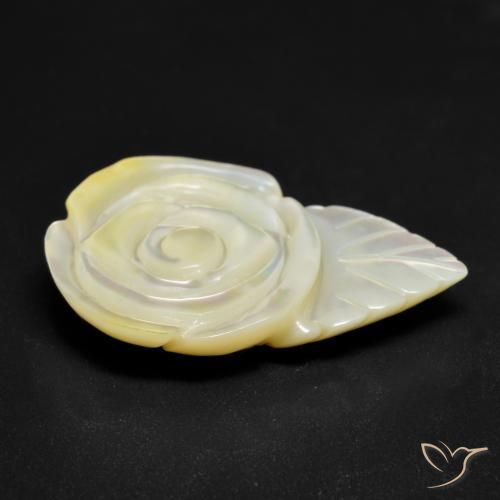 Madrepérola Pérola Branca Natural 16.46ct, Flor cortada, Opaco