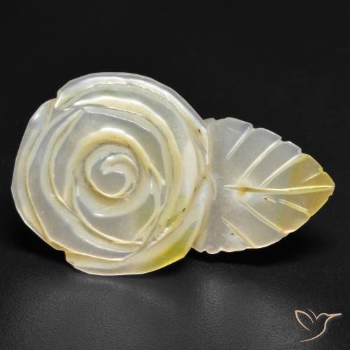 16.60ct Natural Luz amarela Madrepérola, Flor cortada, Opaco