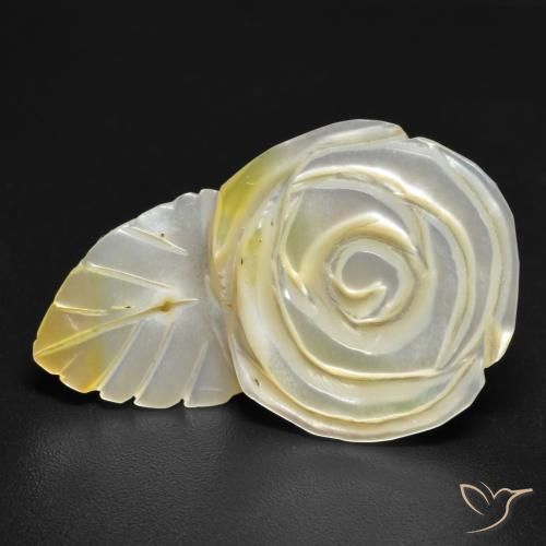 Madrepérola Luz amarela Natural 16.60ct, Flor cortada, Opaco