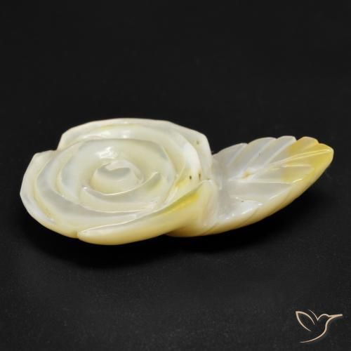 Madrepérola Luz amarela Natural 16.60ct, Flor cortada, Opaco