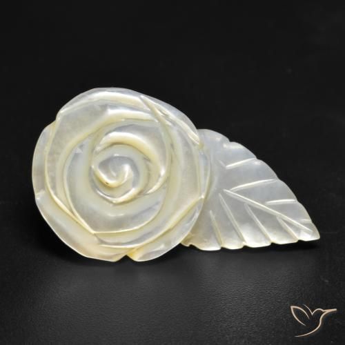 Madrepérola Pérola Branca Natural 18.49ct, Flor cortada, Opaco