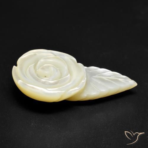 Madrepérola Pérola Branca Natural 18.49ct, Flor cortada, Opaco