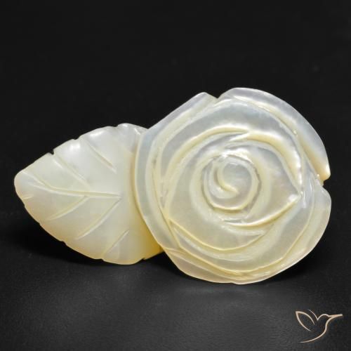 Madrepérola Pérola Branca Natural 19.38ct, Flor cortada, Opaco