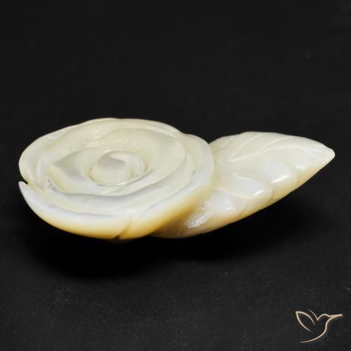 Madrepérola Pérola Branca Natural 19.38ct, Flor cortada, Opaco