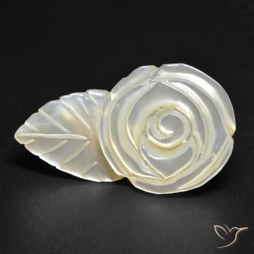 Madrepérola Pérola Branca Natural 17.26ct, Flor cortada, Opaco
