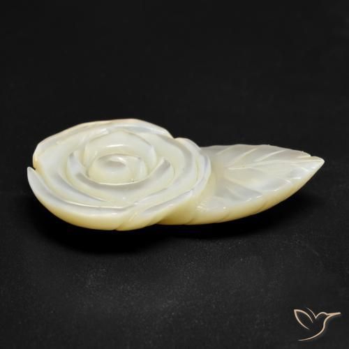 Madrepérola Pérola Branca Natural 17.26ct, Flor cortada, Opaco