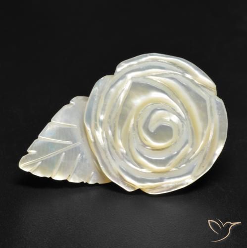 21.17ct Natural Pérola Branca Madrepérola, Flor cortada, Opaco