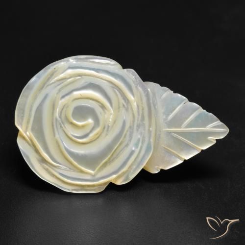 Madrepérola Pérola Branca Natural 21.17ct, Flor cortada, Opaco