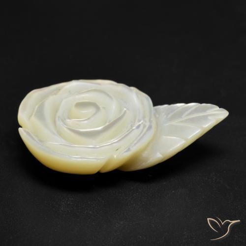 Madrepérola Pérola Branca Natural 21.17ct, Flor cortada, Opaco