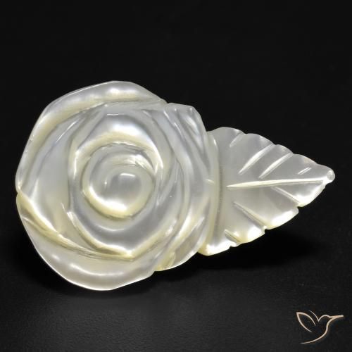 Madrepérola Pérola Branca Natural 15.19ct, Flor cortada, Opaco