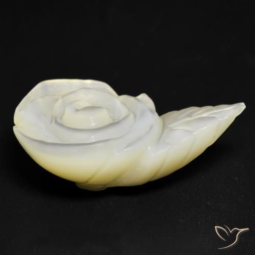 Madrepérola Pérola Branca Natural 15.19ct, Flor cortada, Opaco