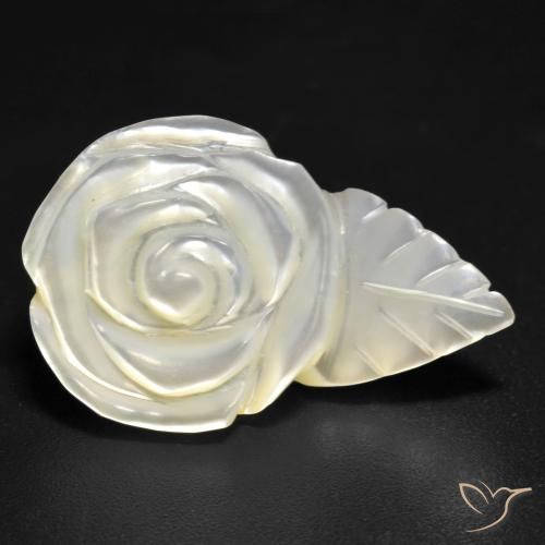 Madrepérola Pérola Branca Natural 12.59ct, Flor cortada, Opaco