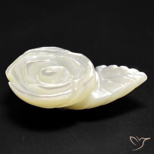 Madrepérola Pérola Branca Natural 12.59ct, Flor cortada, Opaco