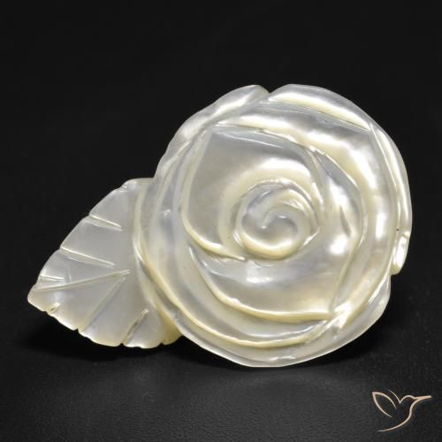 15.15ct Natural Pérola Branca Madrepérola, Flor cortada, Opaco