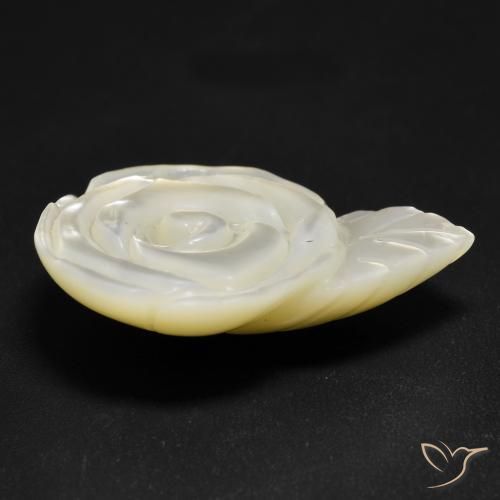 Madrepérola Pérola Branca Natural 15.15ct, Flor cortada, Opaco