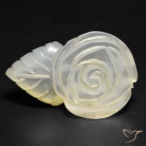 Madrepérola Pérola Branca Natural 14.21ct, Flor cortada, Opaco