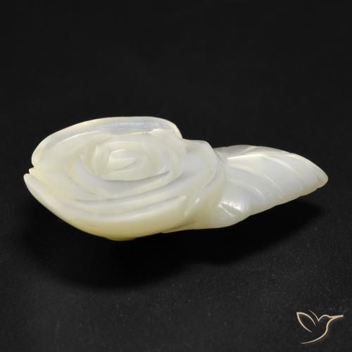 Madrepérola Pérola Branca Natural 14.21ct, Flor cortada, Opaco