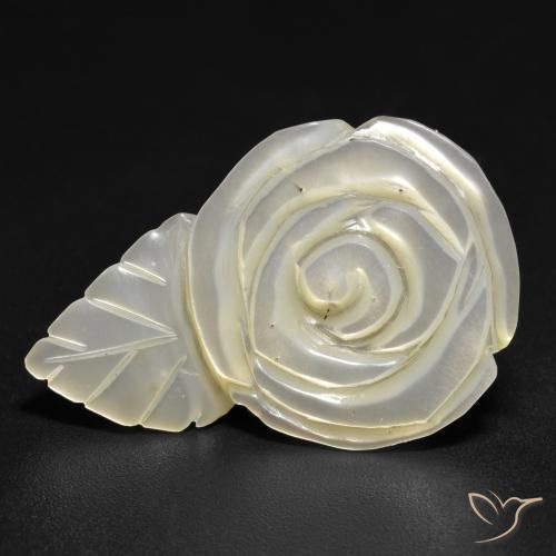 Madrepérola Pérola Branca Natural 14.48ct, Flor cortada, Opaco