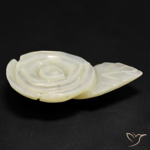 Madrepérola Pérola Branca Natural 14.48ct, Flor cortada, Opaco